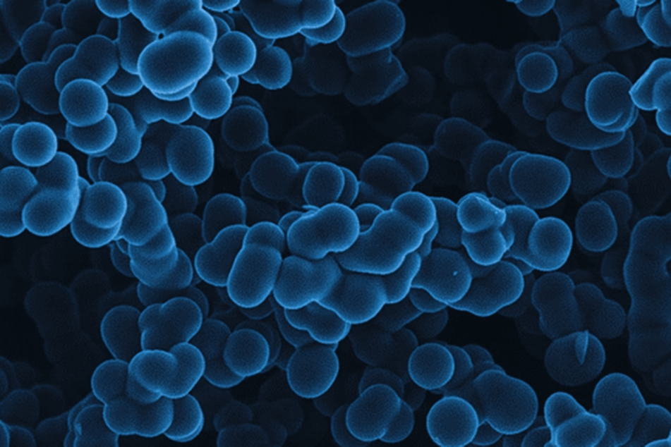 Project highlights in the area of Space Applications